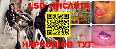 шишки Бийск