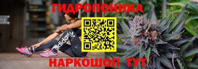 шишки Бийск
