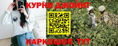 шишки Бийск