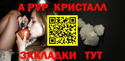 шишки Бийск