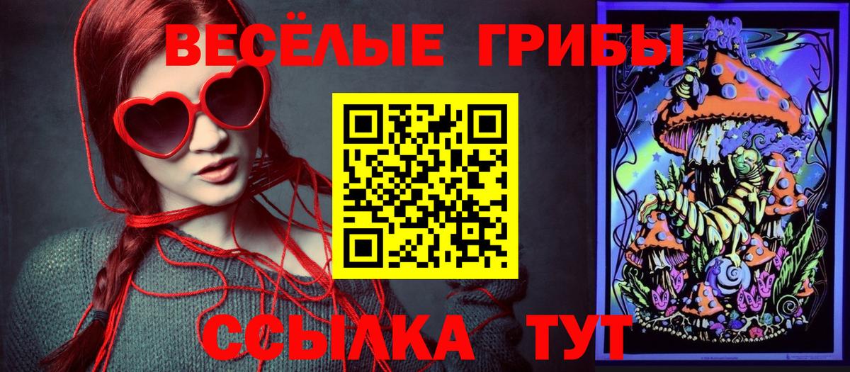 Галлюциногенные грибы Psilocybine cubensis Ивантеевка